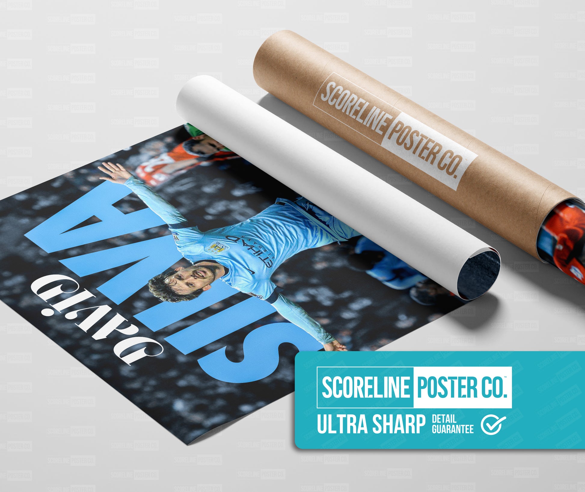 David Silva Poster