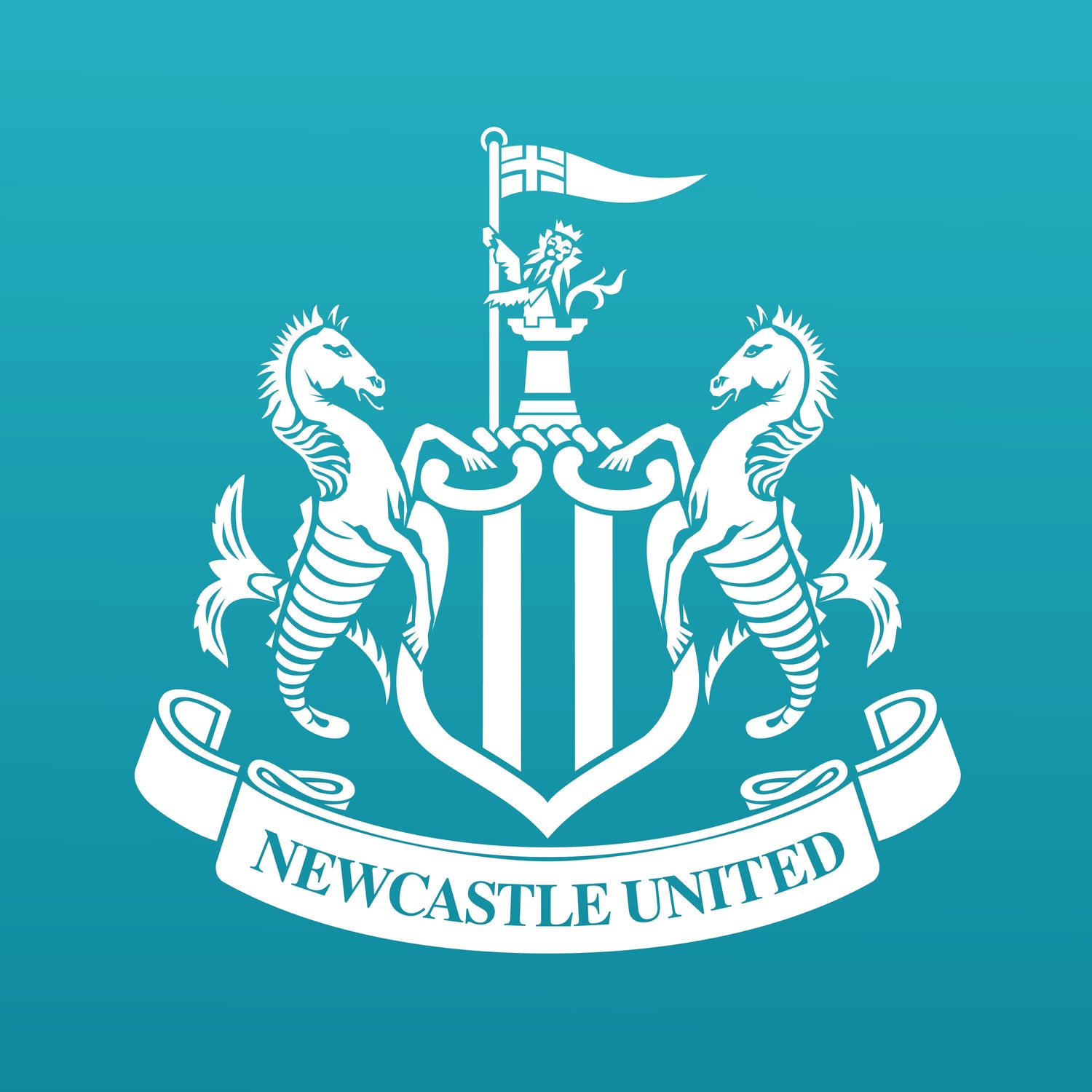 Newcastle United Posters