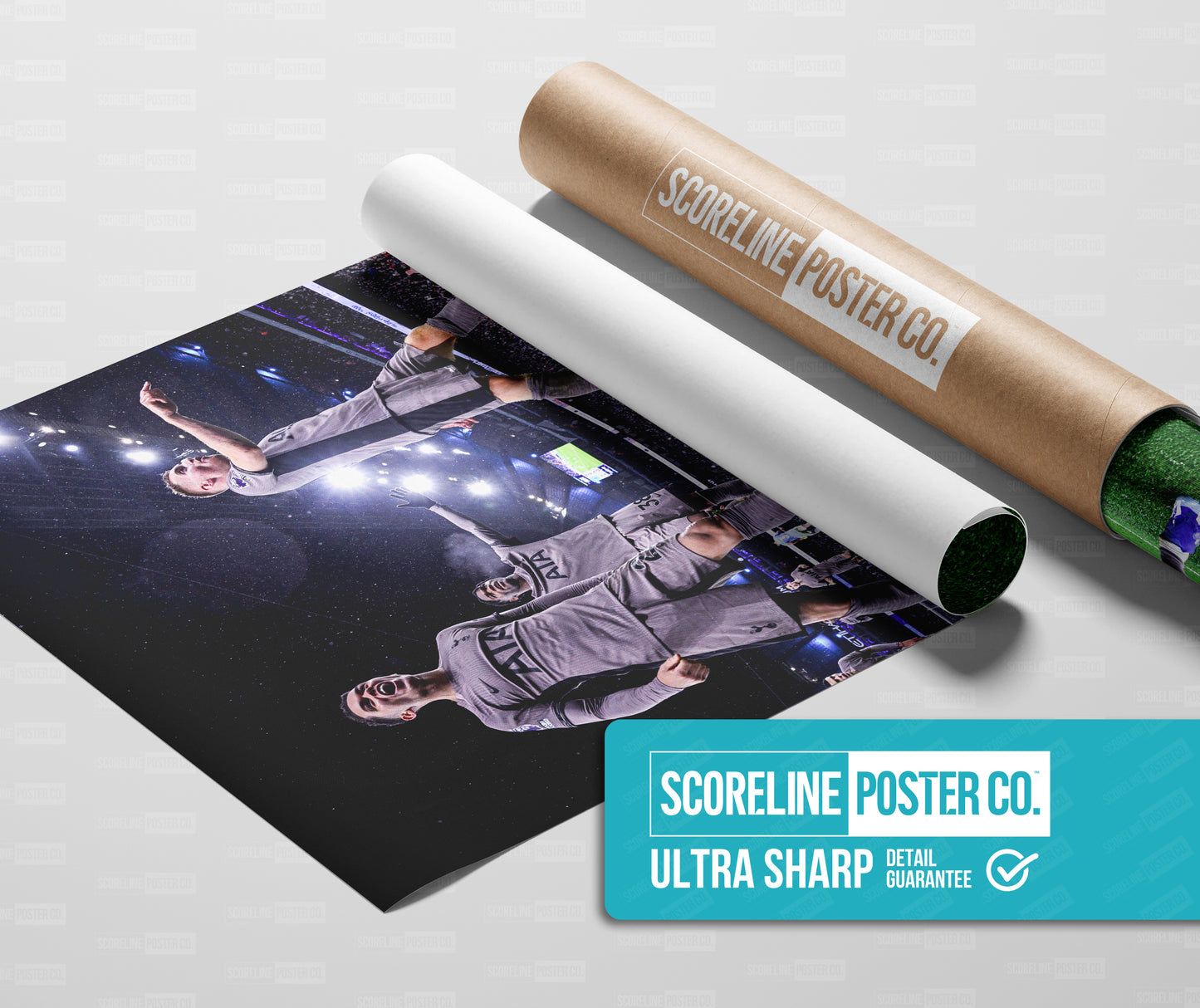 Tottenham Hotspur 'Passion' Poster