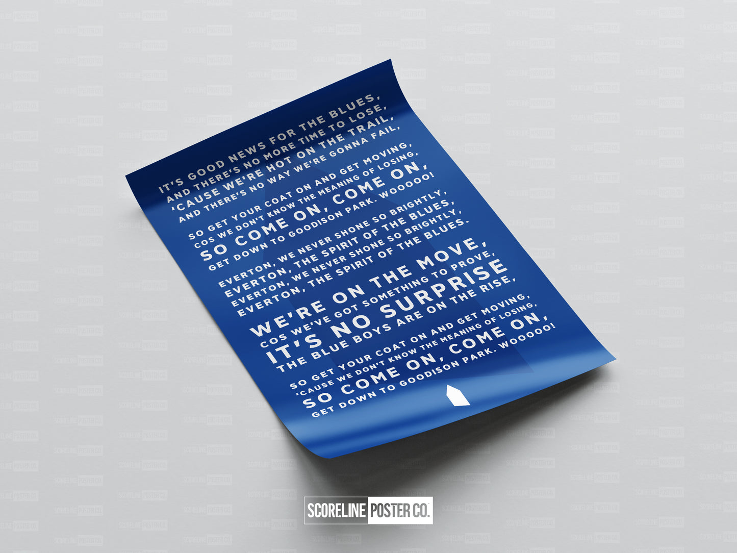 Everton 'It's No Surprise' Poster